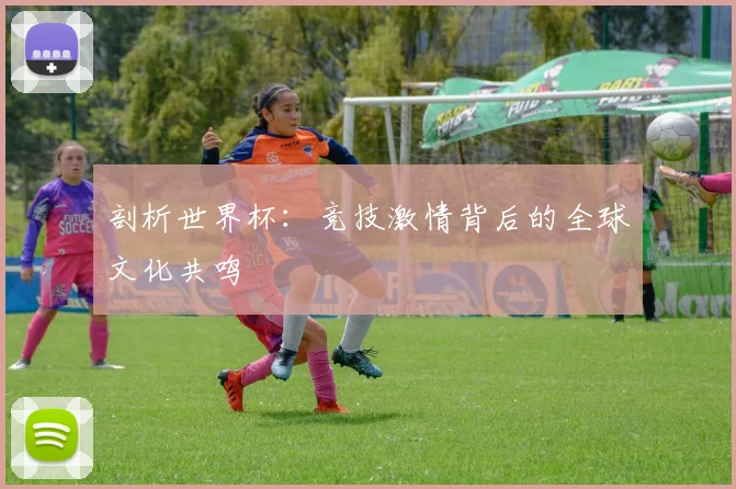 剖析世界杯：竞技激情背后的全球文化共鸣
