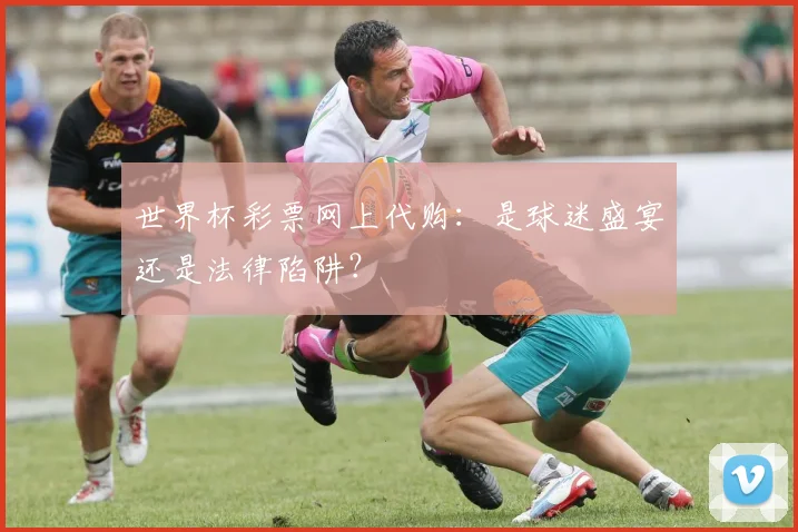 世界杯彩票网上代购：是球迷盛宴还是法律陷阱？