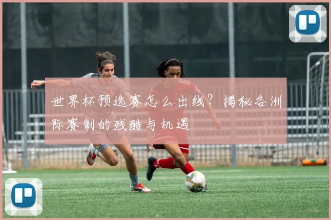 世界杯预选赛怎么出线？揭秘各洲际赛制的残酷与机遇