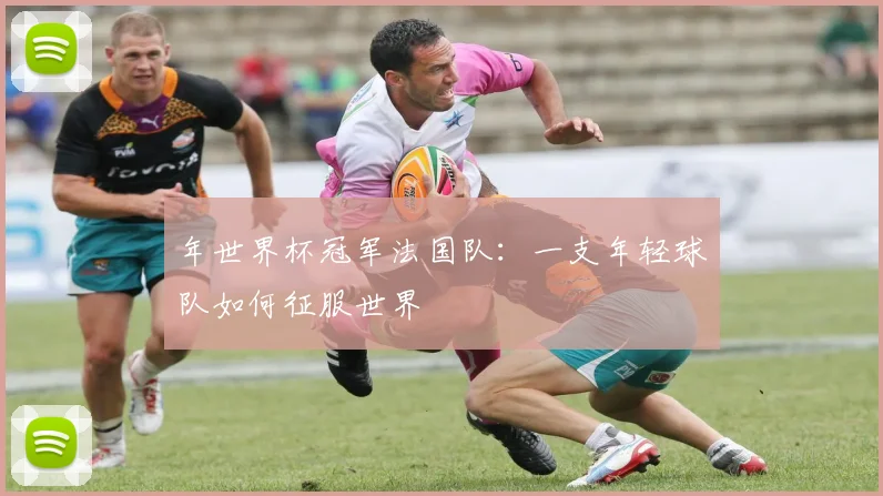 年世界杯冠军法国队:一支年轻球队如何征服世界