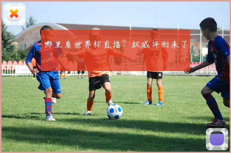 哪里看世界杯直播?权威评测来了