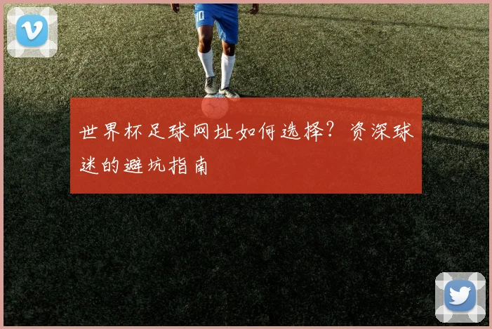 世界杯足球网址如何选择?资深球迷的避坑指南
