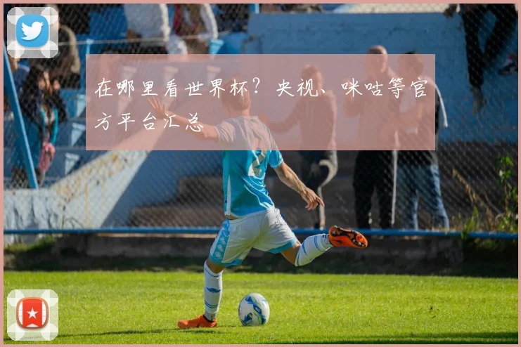 在哪里看世界杯？央视、咪咕等官方平台汇总