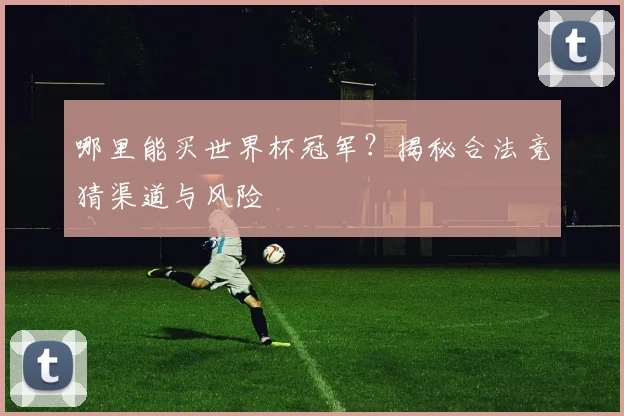 哪里能买世界杯冠军?揭秘合法竞猜渠道与风险