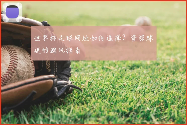 世界杯足球网址如何选择?资深球迷的避坑指南