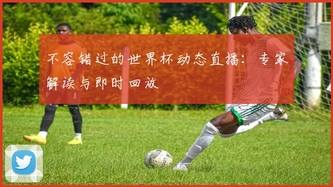 不容错过的世界杯动态直播:专家解读与即时回放