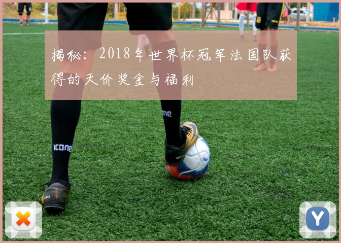 揭秘：2018年世界杯冠军法国队获得的天价奖金与福利