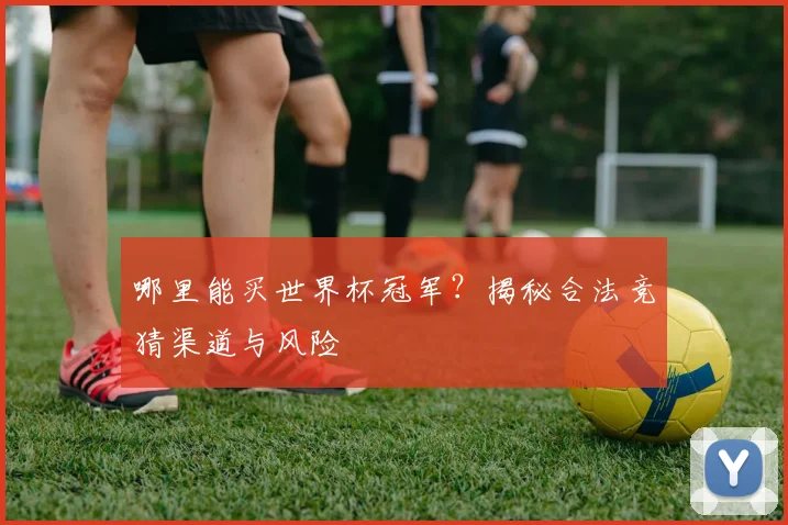 哪里能买世界杯冠军?揭秘合法竞猜渠道与风险