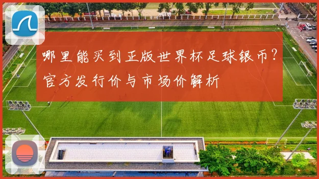 哪里能买到正版世界杯足球银币?官方发行价与市场价解析