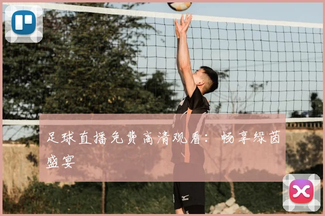 足球直播免费高清观看：畅享绿茵盛宴