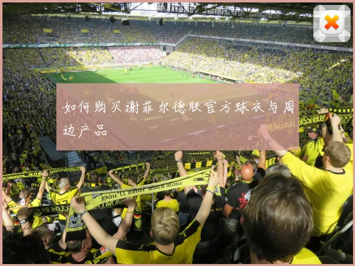 如何购买谢菲尔德联官方球衣与周边产品