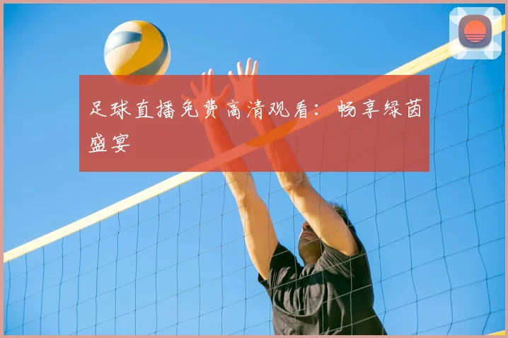 足球直播免费高清观看：畅享绿茵盛宴